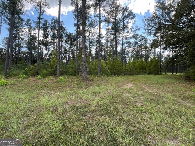 Land for sale in Dexter, Laurens County