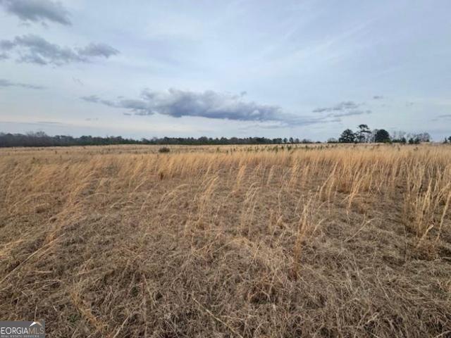 Land for sale in Dexter, Georgia