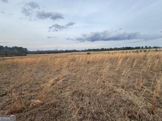 Land for sale in Georgia