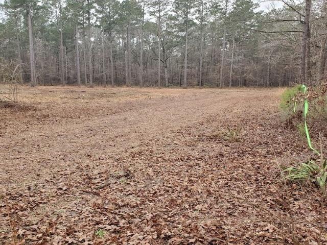 Land for sale in Dexter, Georgia