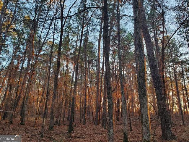 Land for sale in Dexter, Georgia