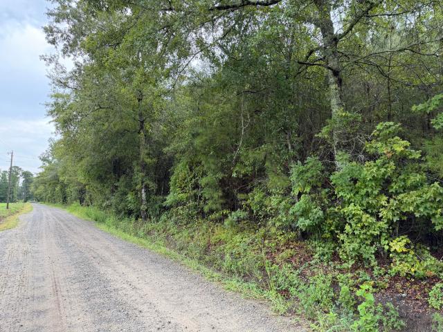 Land for sale in Lebanon, Ridgeville