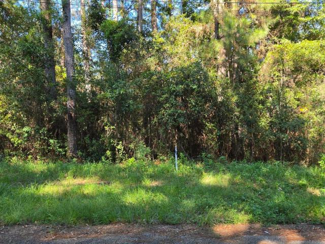 Land for sale in Gautier, Jackson County