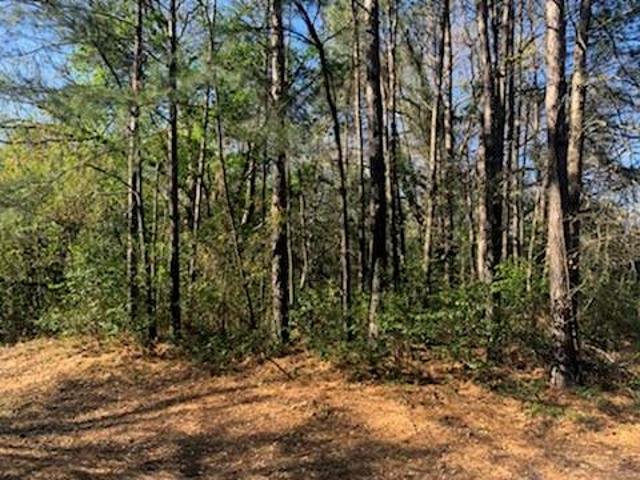 Land for sale in Sabine, Texas