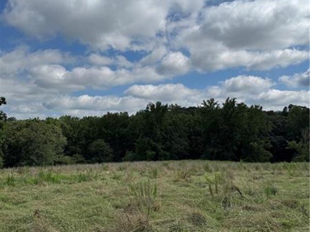 Land for sale in Maysville, Georgia