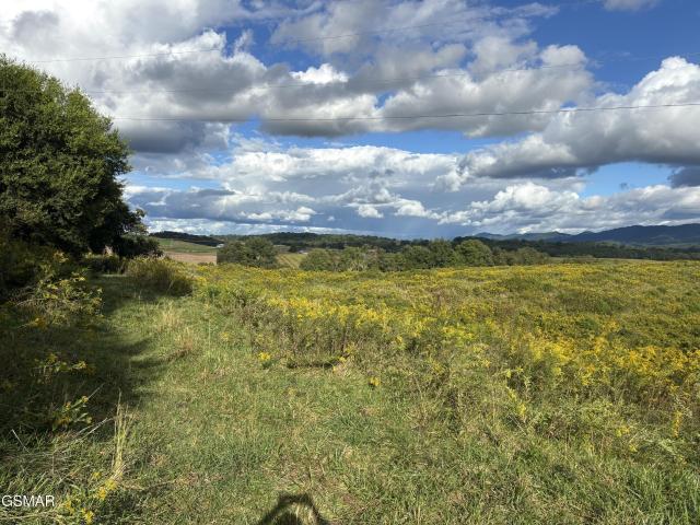 Farm for sale in Parrottsville, East Tennessee
