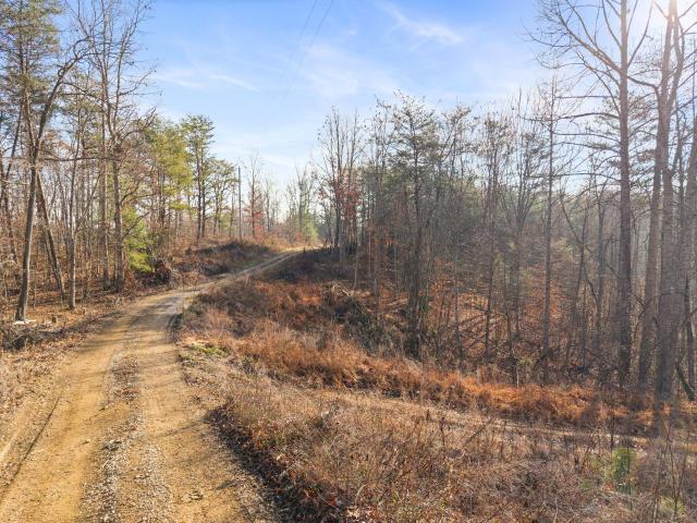 Land for sale in Beattyville, Kentucky