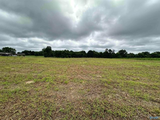 Commercial for sale in Rainsville