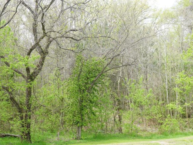 Land for sale in Virginia