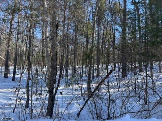 Land for sale in Layton, New Jersey