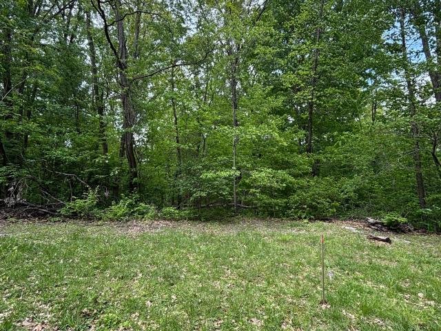 Land for sale in Nineveh, Indiana