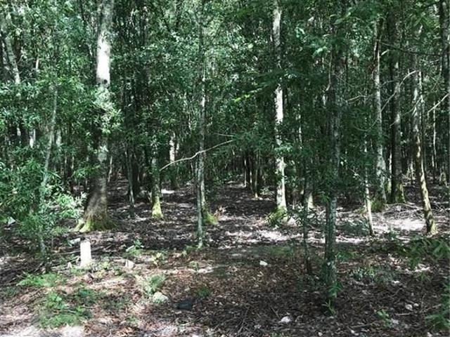 Property for sale in Kinder, Louisiana