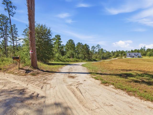 Land for sale in Gilbert, Lexington County