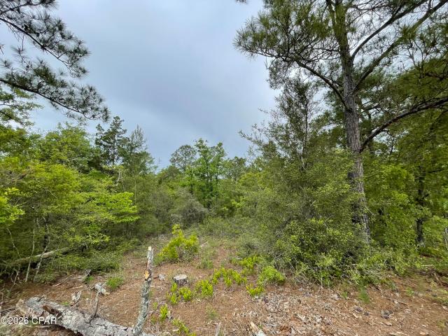 Property for sale in Marianna, Florida