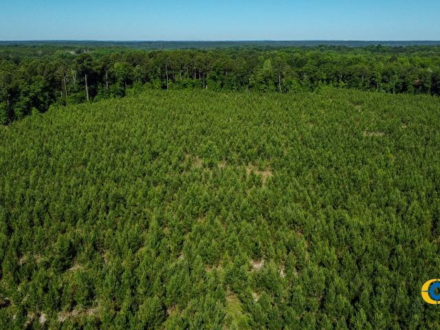 Land for sale in Ideal, Georgia
