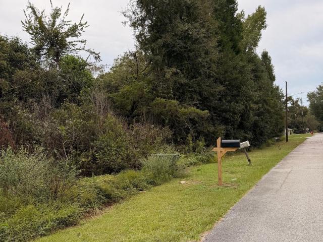 Land for sale in Midville, Burke County