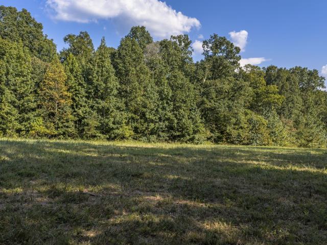 Land for sale in Tennessee