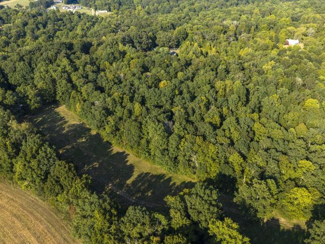 Land for sale in Tennessee