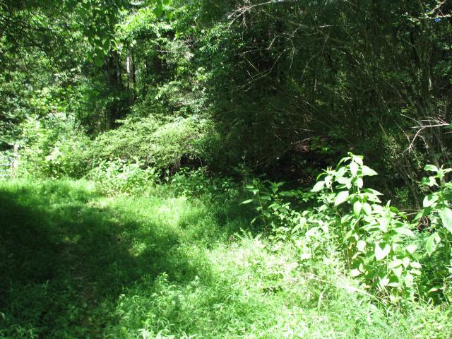 Land for sale in Tennessee