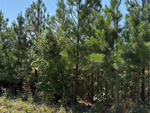 Land for sale in Virginia