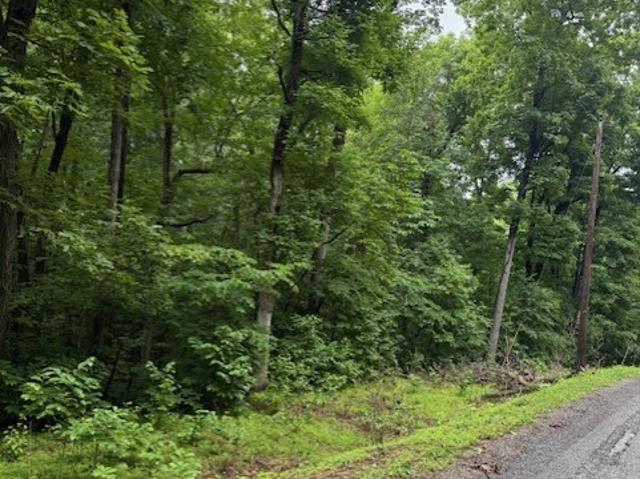 Land for sale in Cadiz, Kentucky