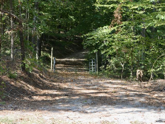 Land for sale in Tennessee