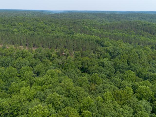 Land for sale in Centerville, Middle Tennessee