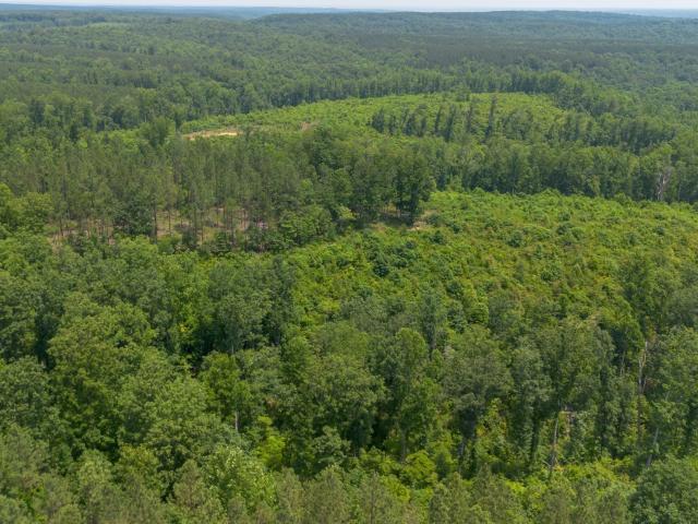 Land for sale in Tennessee