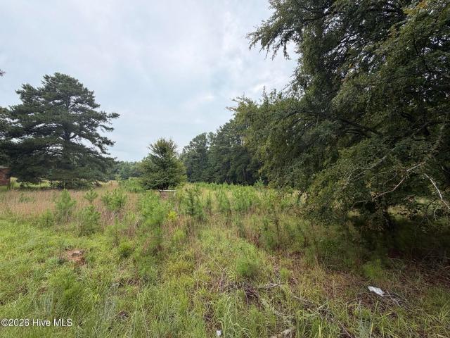 Land for sale in Warrenton, Georgia