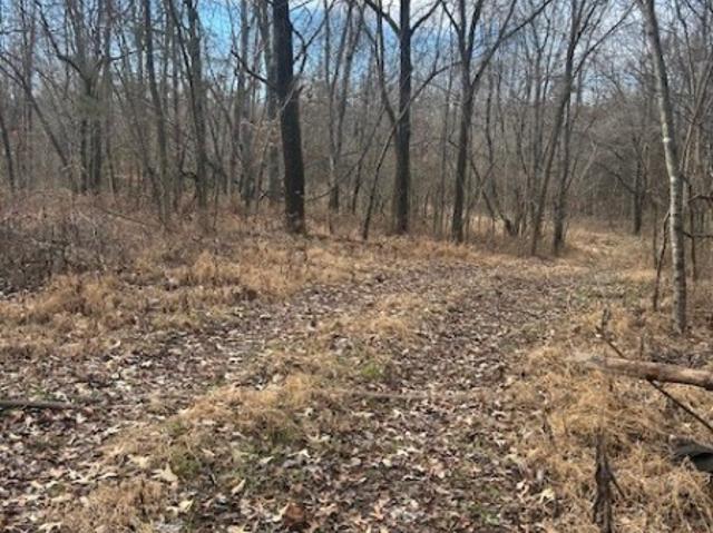 Land for sale in Tennessee