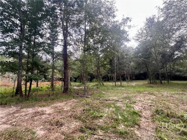 Land for sale in Colbert, Georgia