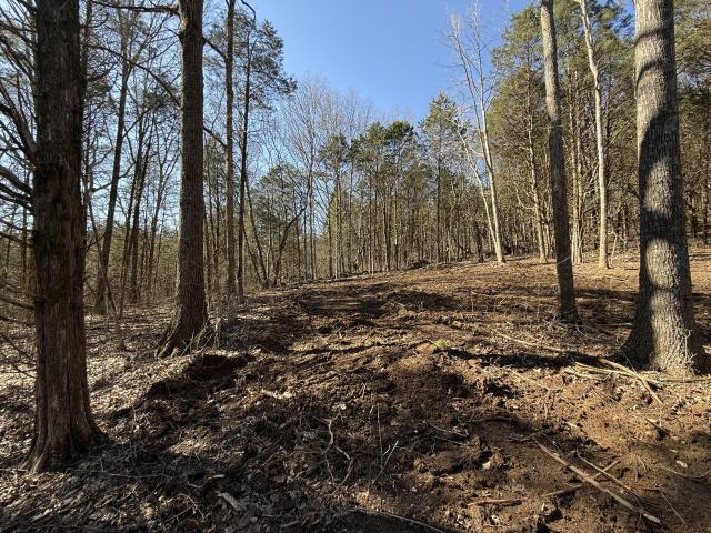Land for sale in Tennessee