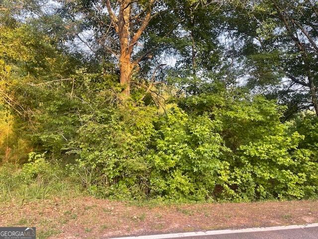 Land for sale in Molena, Georgia
