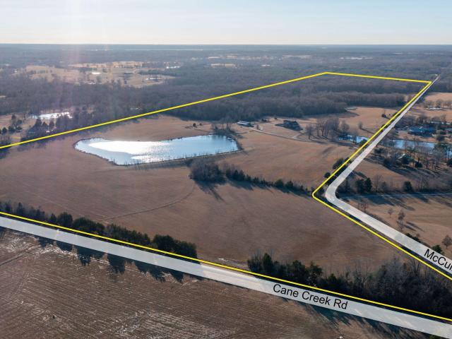 Land for sale in Flora, Mississippi