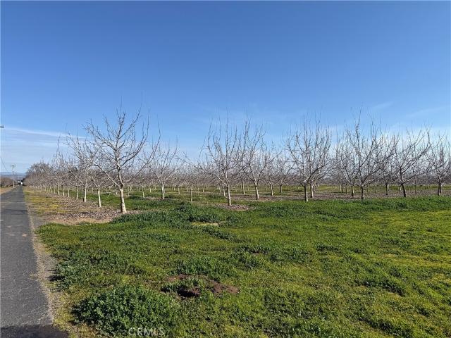 Land for sale in Butte, California