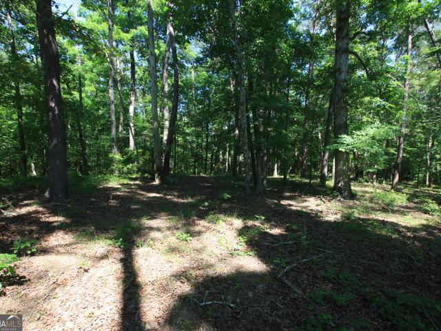 Land for sale in Lindale, Georgia