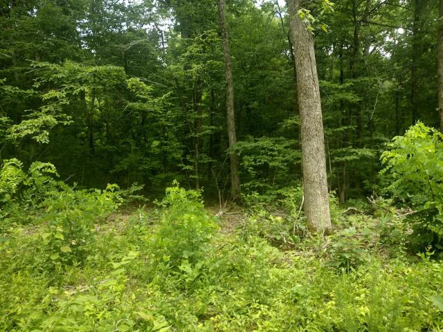 Land for sale in Ark