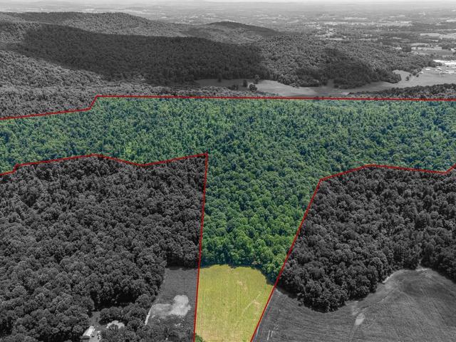 Land for sale in Albany, Kentucky