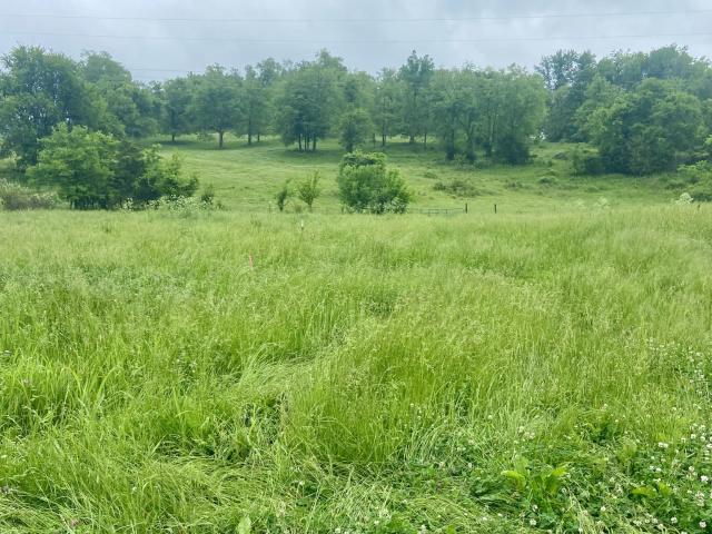 Land for sale in Tennessee