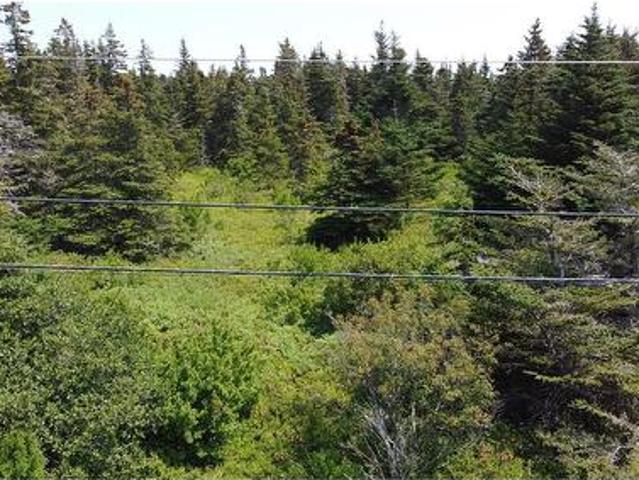 Land for sale in Harbour Grace South, Newfoundland And Labrador