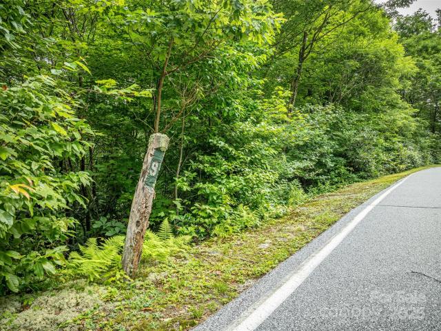 Land for sale in Transylvania, North Carolina