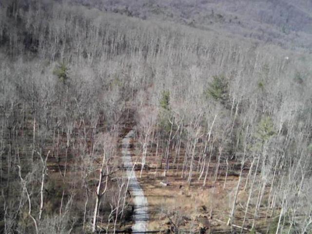 Land for sale in Virginia
