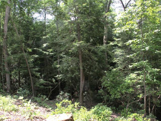 Land for sale in Tennessee