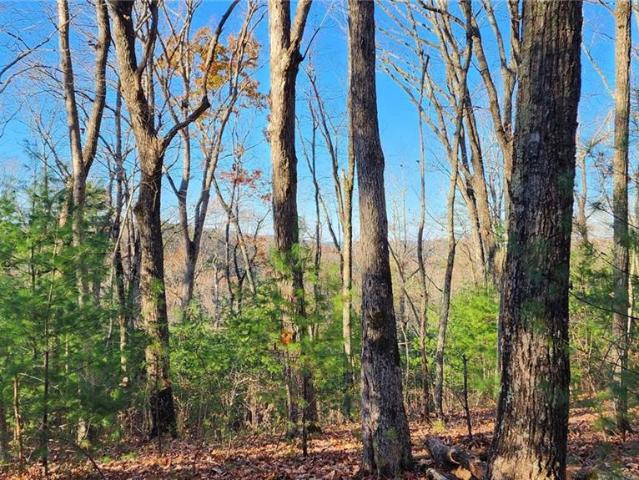Land for sale in Pickens, Georgia
