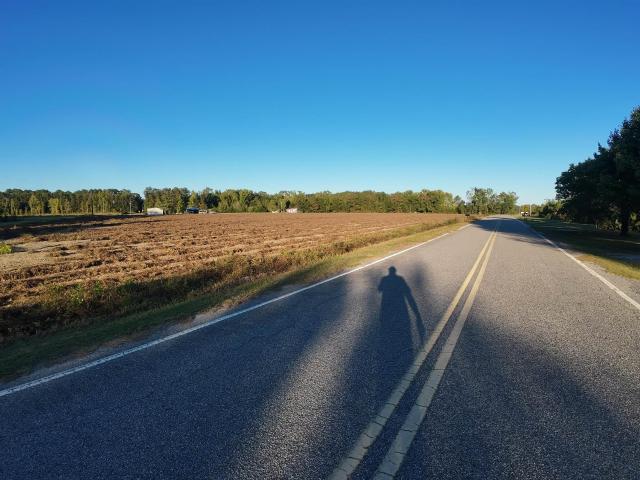 Land for sale in Timmonsville, Florence County