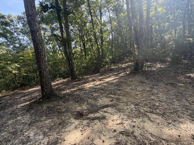 Land for sale in Tellico Plains, East Tennessee