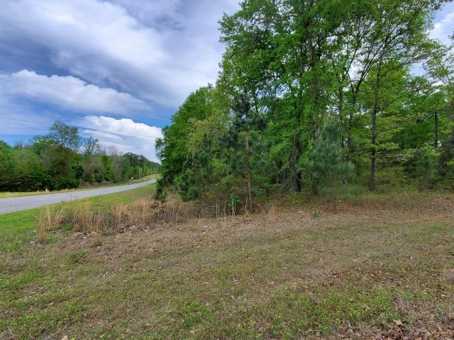 Land for sale in Rentz, Georgia