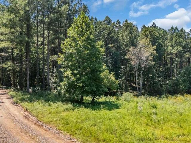 Land for sale in Tennessee