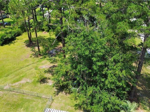 Land for sale in Dodge, Georgia