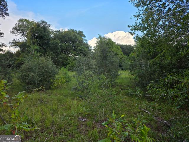 Land for sale in Baxley, Appling County